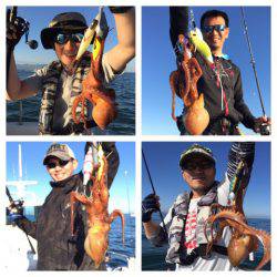 ビッグファイター 釣果