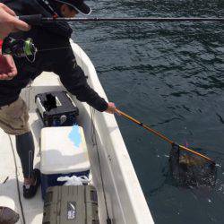 「LaGooN」蒼陽丸 日和号　 釣果