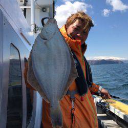 シーランチ 釣果