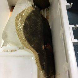 第二八坂丸 釣果