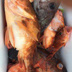 第二龍勢丸 釣果