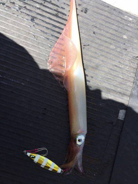 第二龍勢丸 釣果