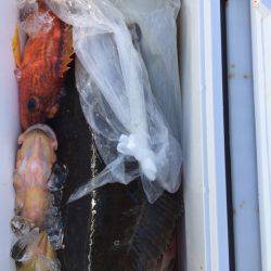 第二龍勢丸 釣果