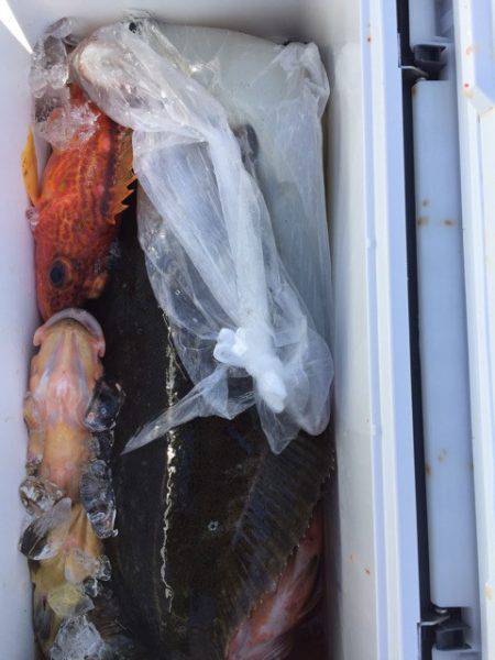 第二龍勢丸 釣果