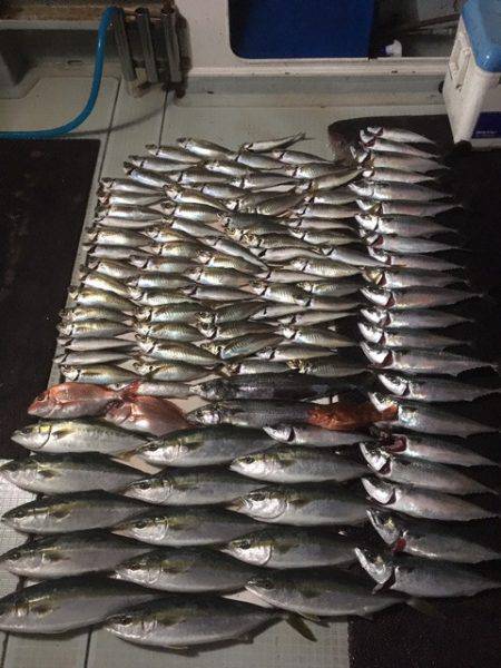 エムズジャーク（M's JERK…