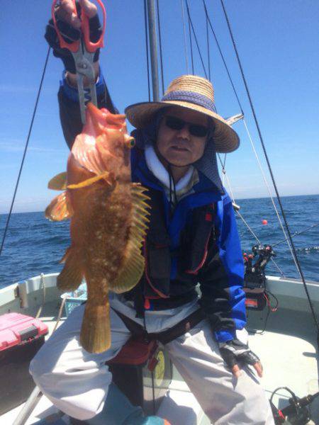 大成丸 釣果