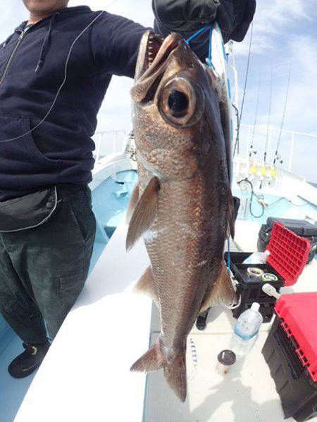 水天丸 釣果
