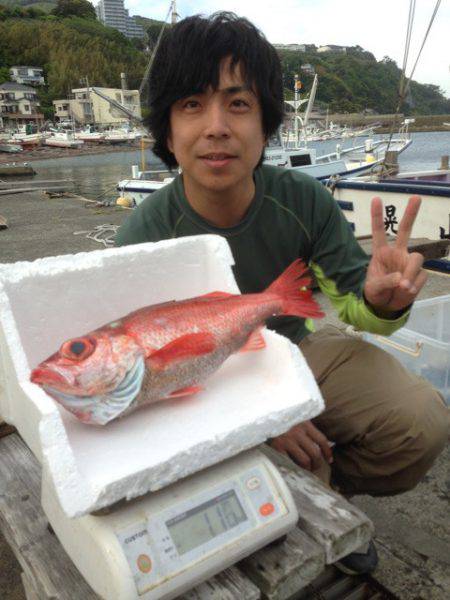 晃山丸 釣果