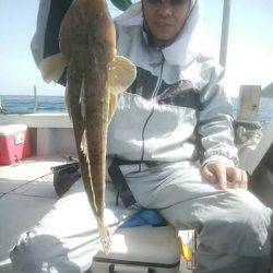 海季丸(みきまる) 釣果