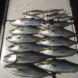 エムズジャーク（M’s JERK） 釣果