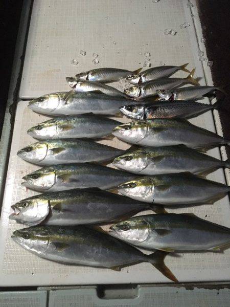 エムズジャーク（M's JERK…