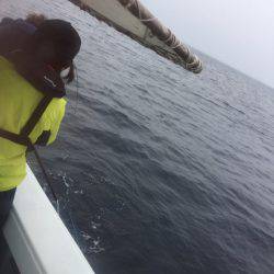 第二龍勢丸 釣果