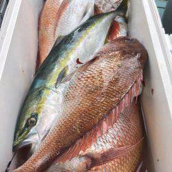 第二八坂丸 釣果