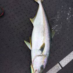 第二龍勢丸 釣果