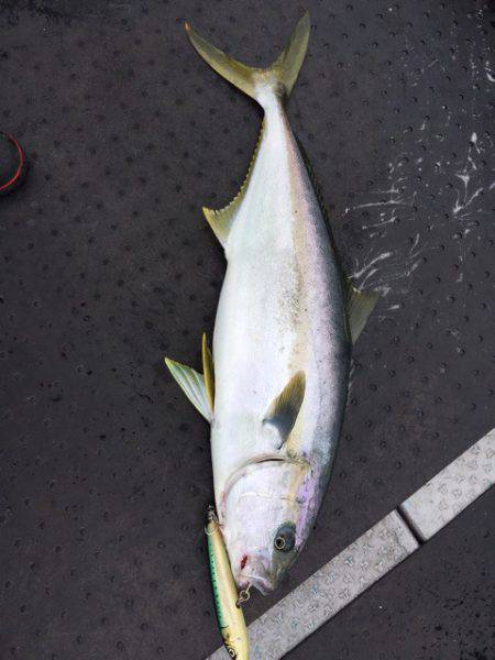 第二龍勢丸 釣果