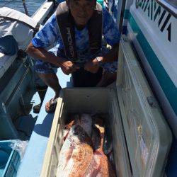 第二八坂丸 釣果