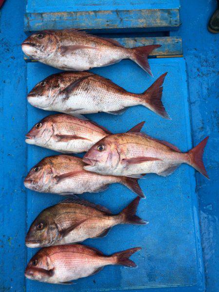 太平丸 釣果