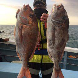 第二八坂丸 釣果