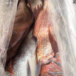 第二八坂丸 釣果