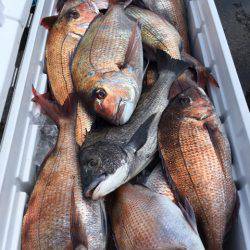 第二八坂丸 釣果