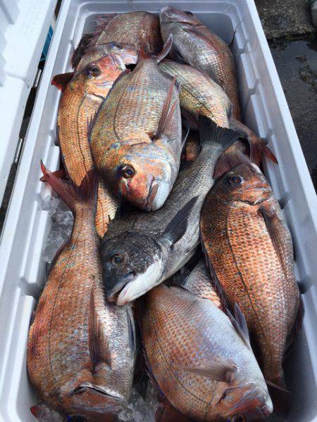 第二八坂丸 釣果