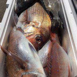 第二八坂丸 釣果