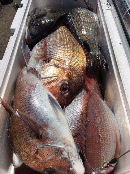 第二八坂丸 釣果