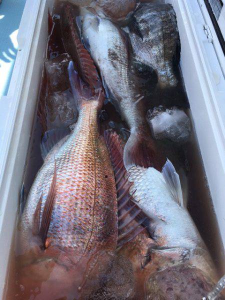 第二八坂丸 釣果