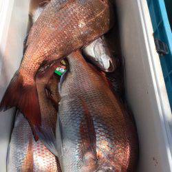 第二八坂丸 釣果