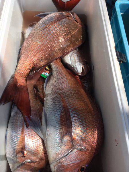 第二八坂丸 釣果