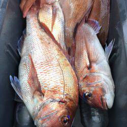 第二八坂丸 釣果