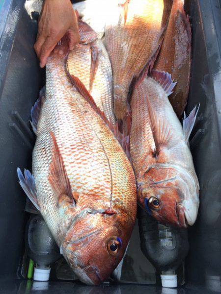 第二八坂丸 釣果