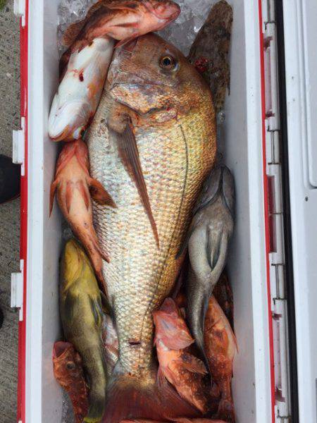 第二龍勢丸 釣果