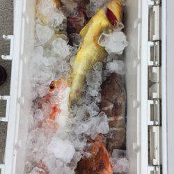 第二龍勢丸 釣果