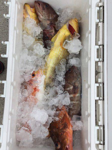 第二龍勢丸 釣果