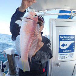 水天丸 釣果