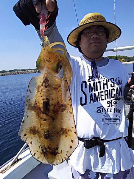 光生丸 釣果