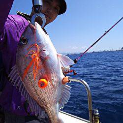 光生丸 釣果