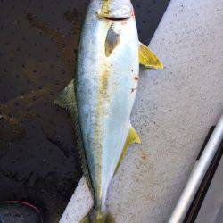 第二龍勢丸 釣果