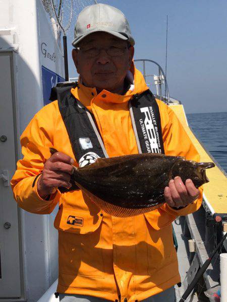 シーランチ 釣果