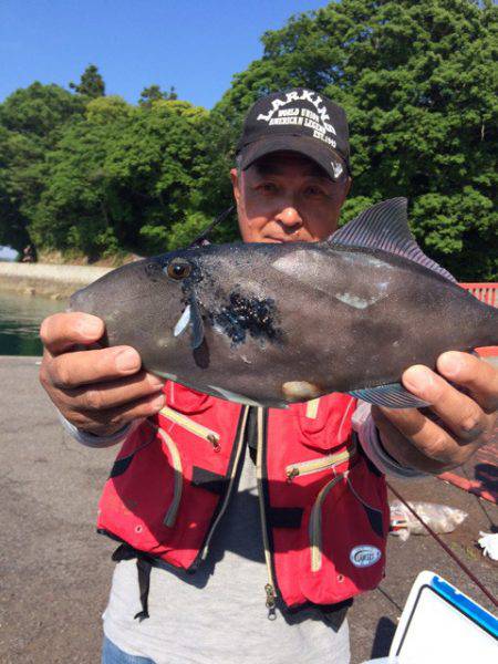 豊和丸 釣果
