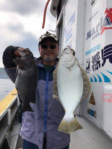 シーランチ 釣果