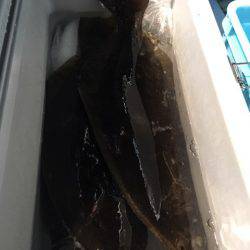 第二八坂丸 釣果