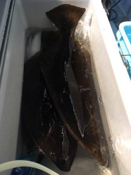 第二八坂丸 釣果