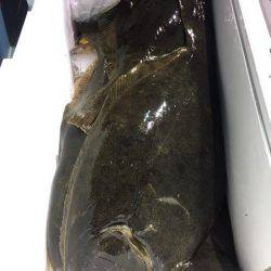 第二八坂丸 釣果