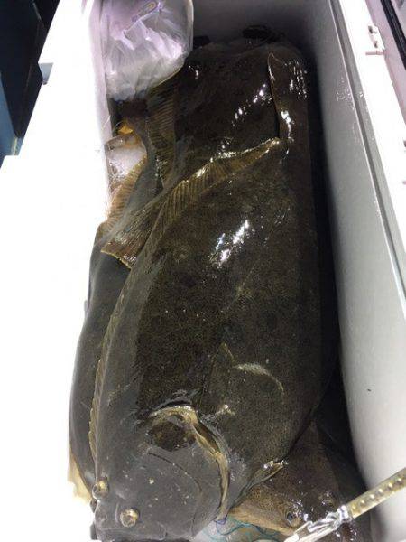 第二八坂丸 釣果