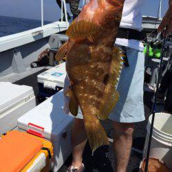 第二龍勢丸 釣果