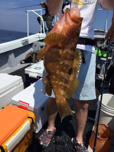 第二龍勢丸 釣果