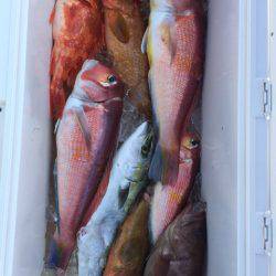 第二龍勢丸 釣果