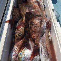 第二八坂丸 釣果